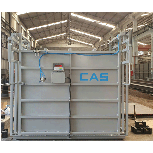 CÂN GIA SÚC CAS